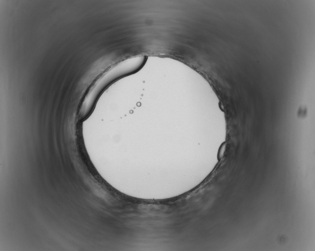 X0000101220242200807251118