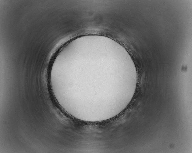 X0000101220244200807251118