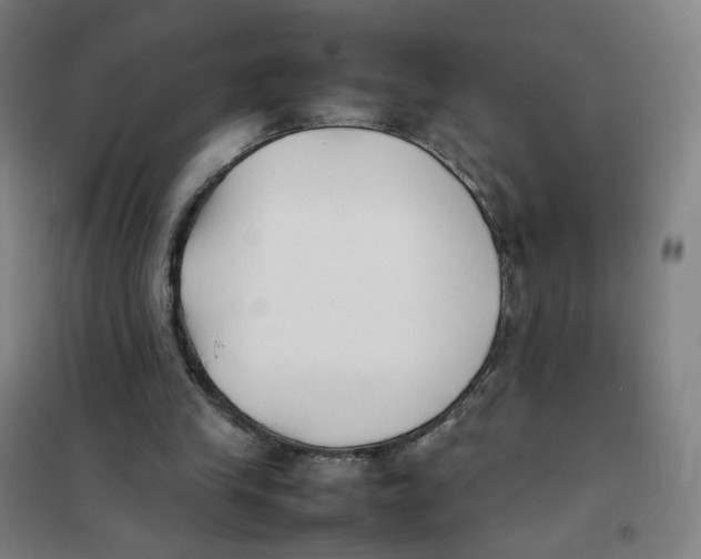 X0000101220245200807251118