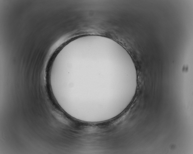 X0000101220246200807251118