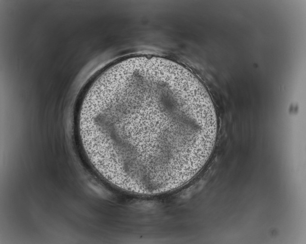 X0000101220247200807251118