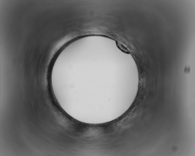 X0000101220248200807251118