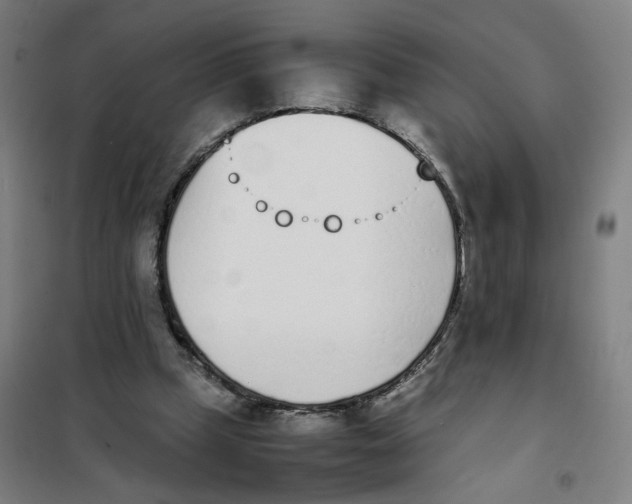 X0000101220249200807251118