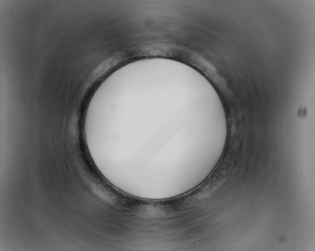 X0000101220250200807251118