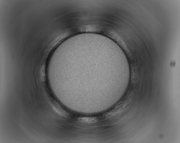 X0000101220251200807251118