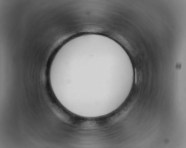 X0000101220252200807251118