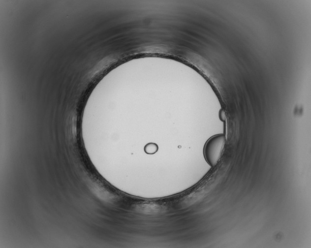 X0000101220253200807251118