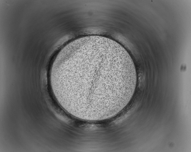X0000101220254200807251118