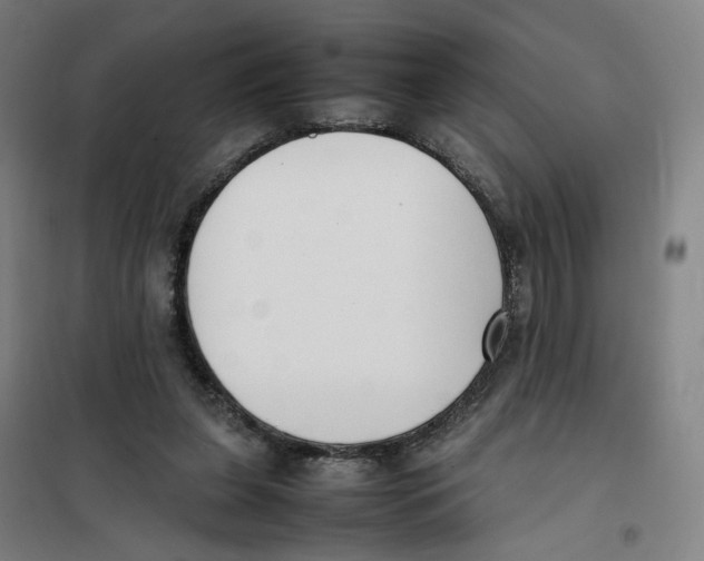X0000101220255200807251118