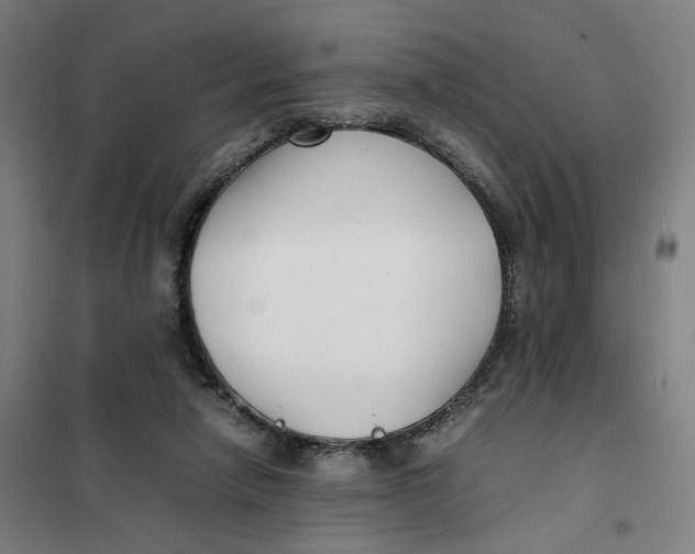 X0000101220258200807251118