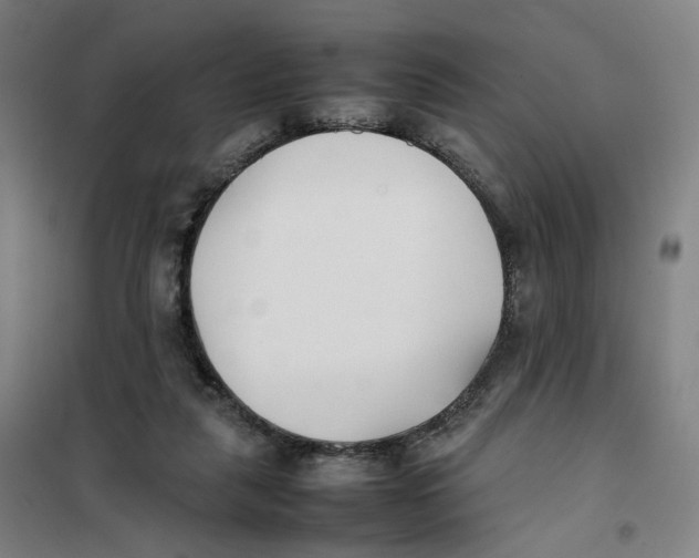 X0000101220259200807251118