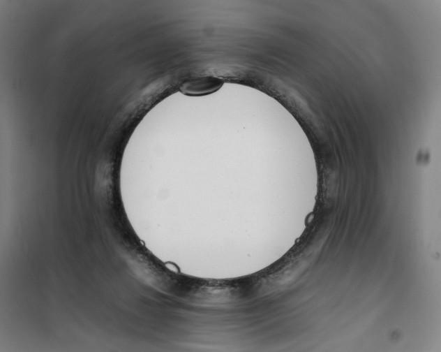 X0000101220260200807251118