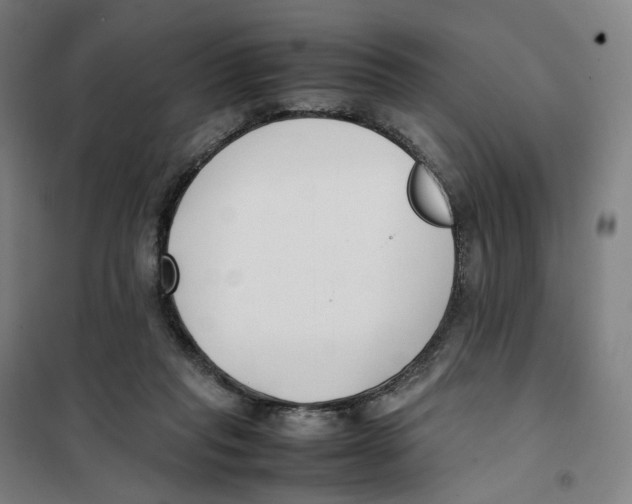 X0000101220261200807251118