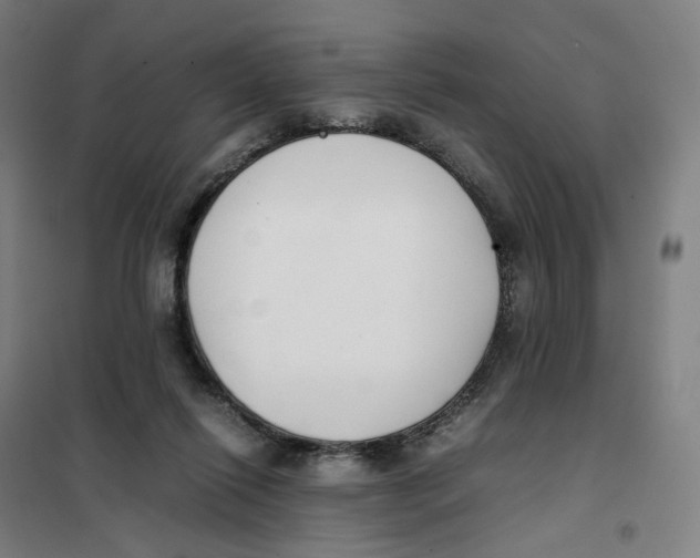 X0000101220262200807251118