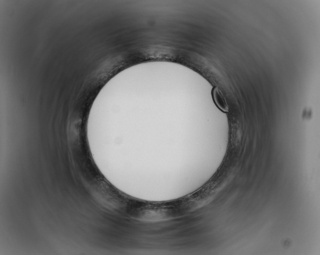 X0000101220263200807251118