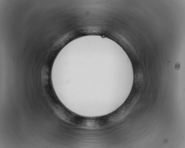 X0000101220264200807251118