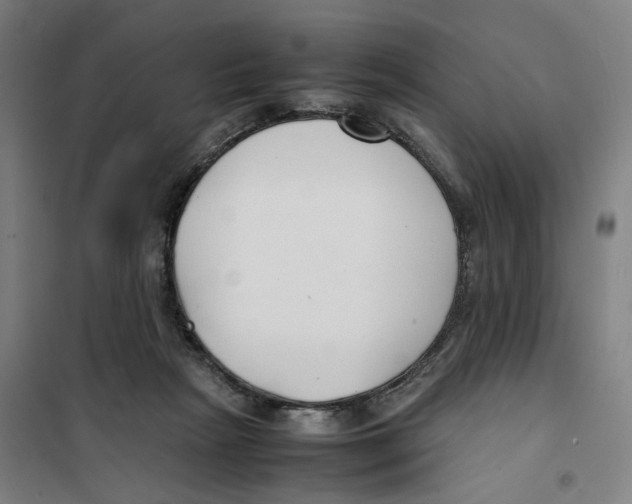 X0000101220265200807251118