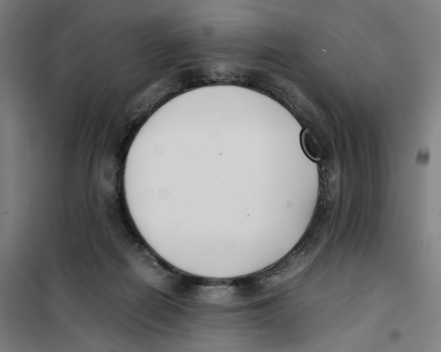 X0000101220266200807251118
