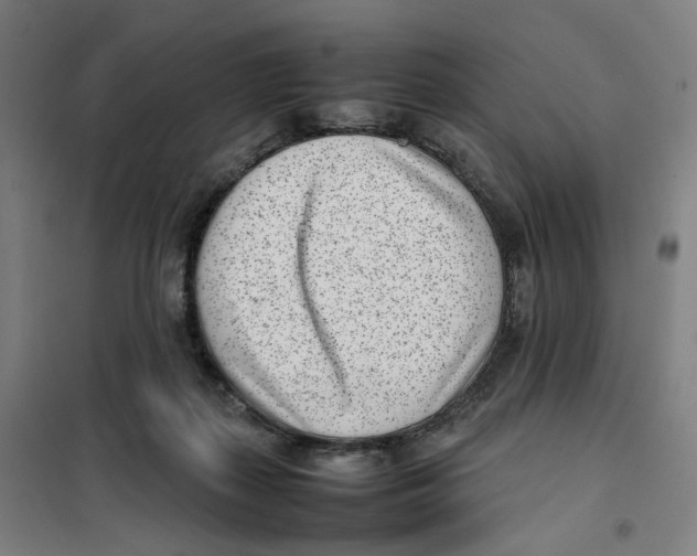 X0000101220267200807251118