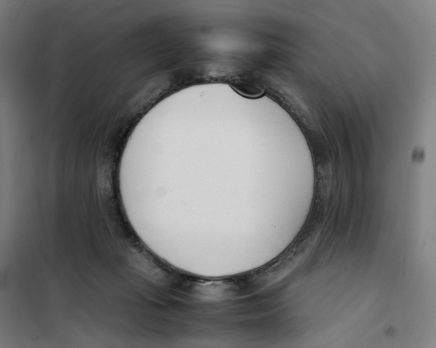 X0000101220269200807251118
