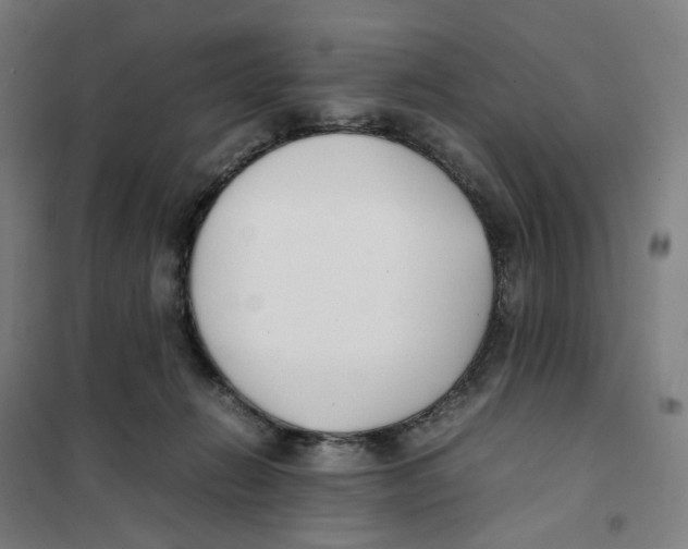 X0000101220270200807251118