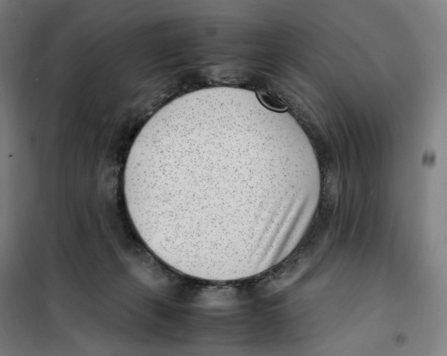 X0000101220271200807251118