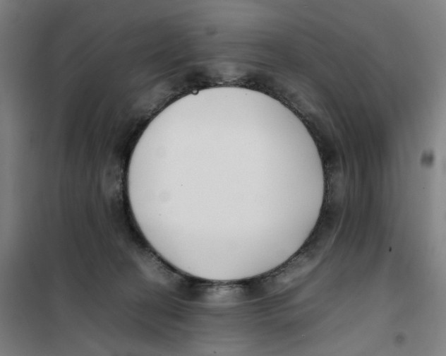 X0000101220274200807251118