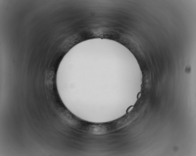 X0000101220275200807251118