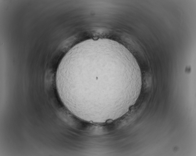 X0000101220276200807251118