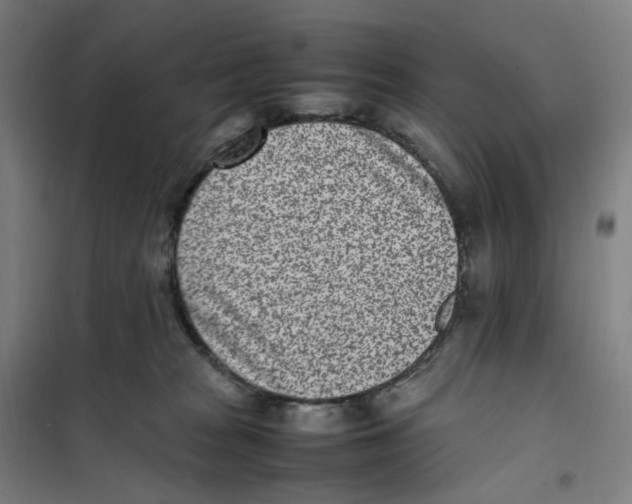 X0000101220277200807251118