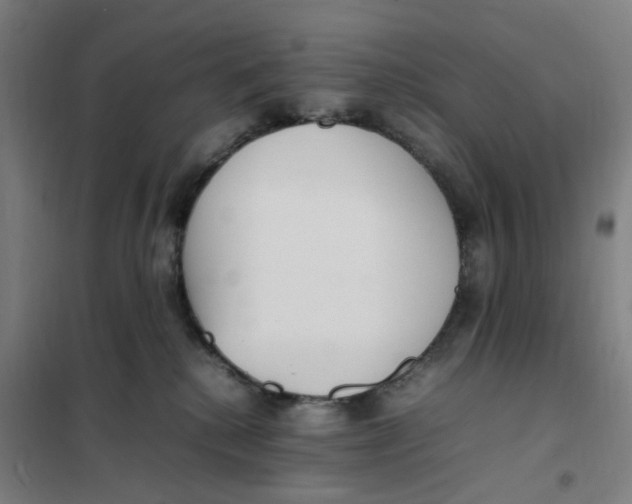 X0000101220280200807251118