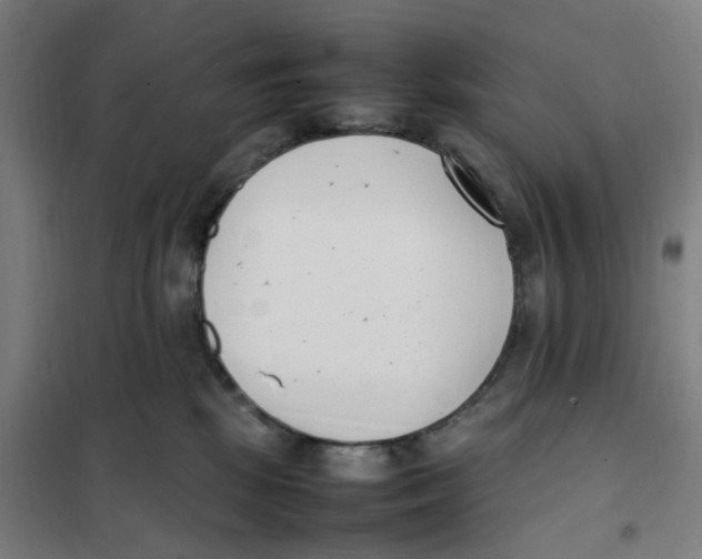 X0000101220281200807251118
