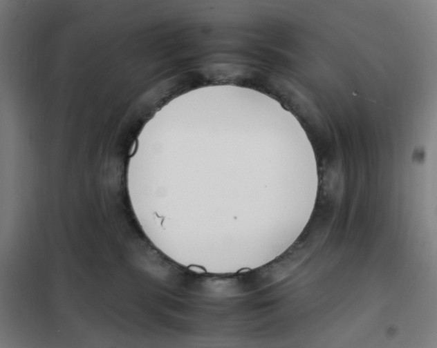 X0000101220283200807251118