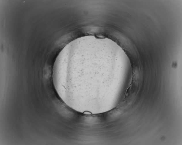 X0000101220284200807251118