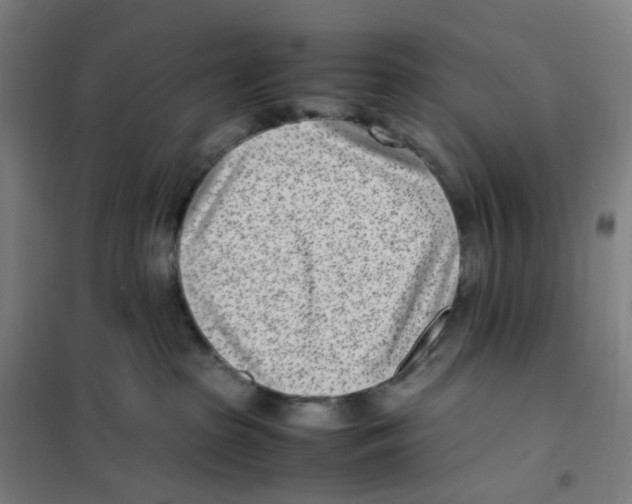X0000101220285200807251118