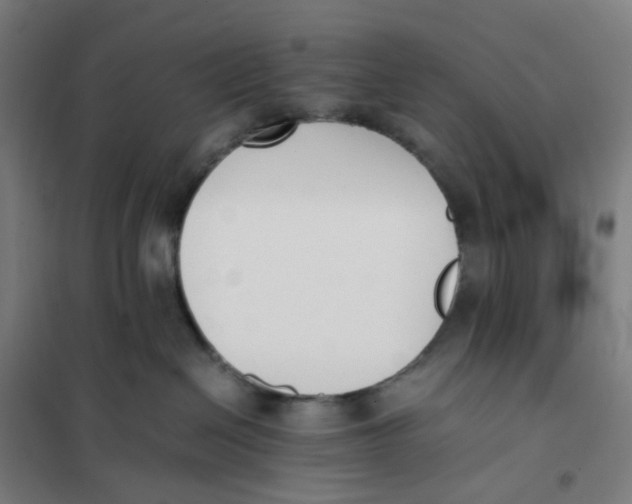 X0000101220286200807251118