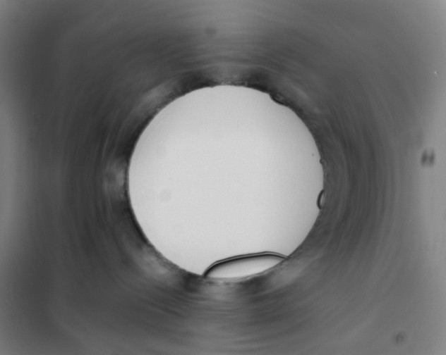 X0000101220288200807251118