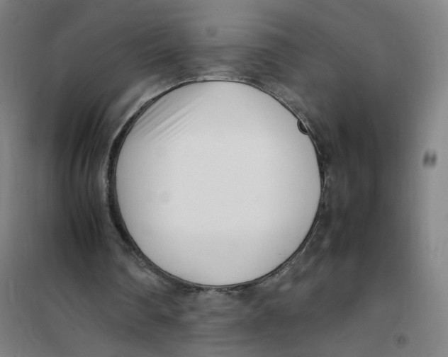 X0000101220290200807251118