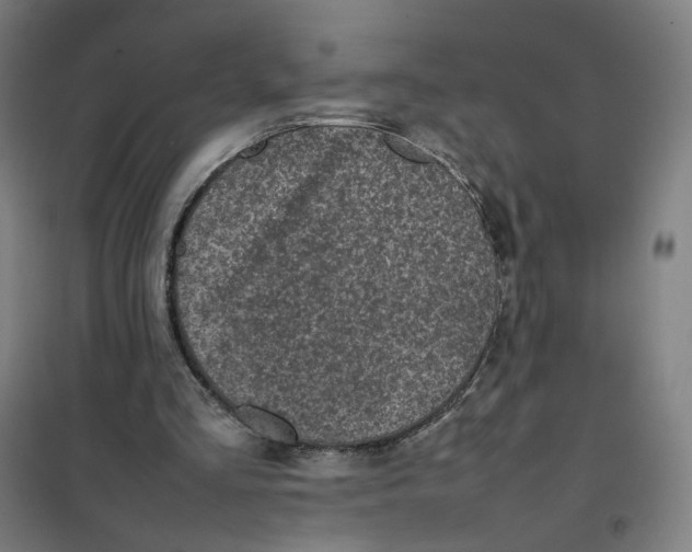 X0000101220293200807251118
