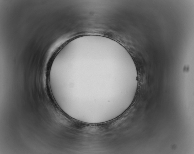 X0000101220294200807251118