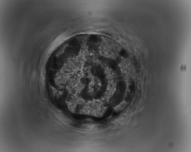 X0000101220295200807251117