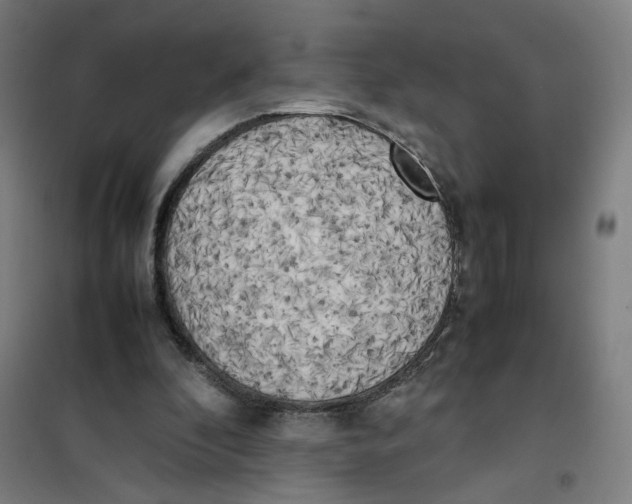 X0000101220296200807251117