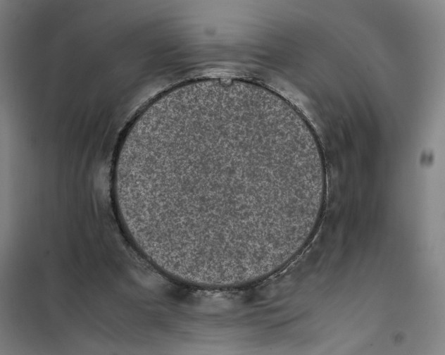 X0000101220297200807251117
