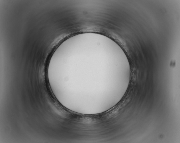 X0000101220298200807251117