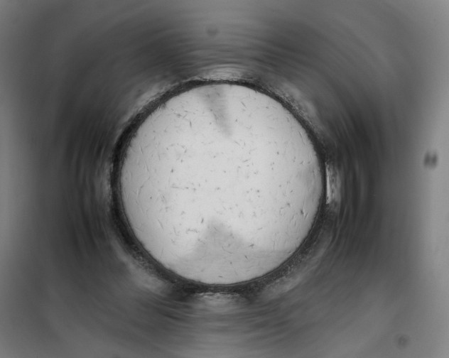 X0000101220300200807251117