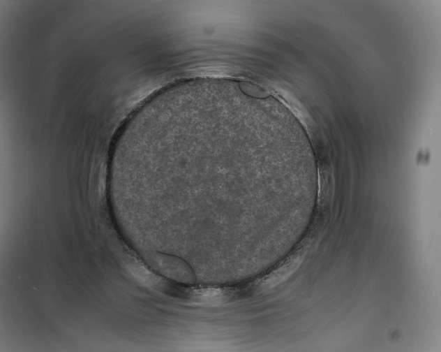 X0000101220301200807251117