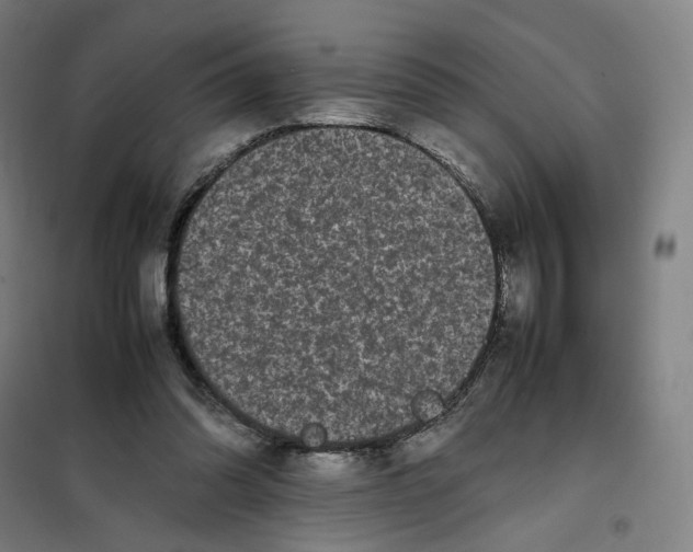 X0000101220302200807251117