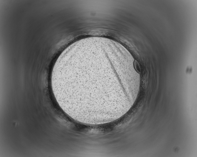 X0000101220303200807251117