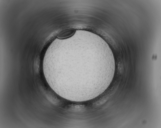 X0000101220304200807251117