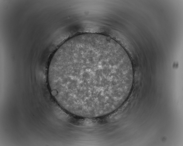 X0000101220305200807251117